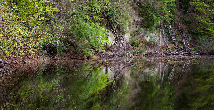 Gewässer © Matthias Sorg