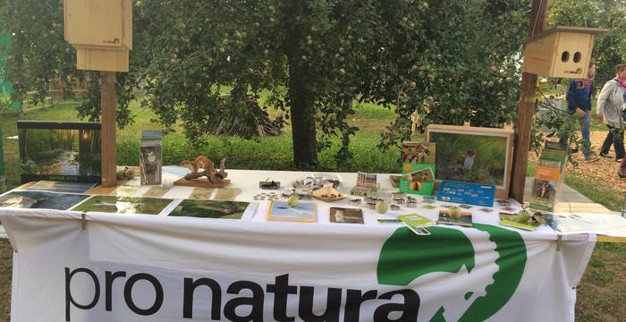 Martkstand Pro Natura Aargau