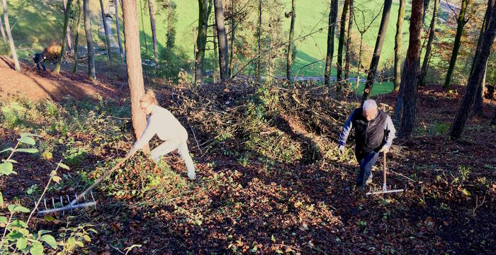 Freiwillige arbeiten im Wald_cr_Melanie Christen