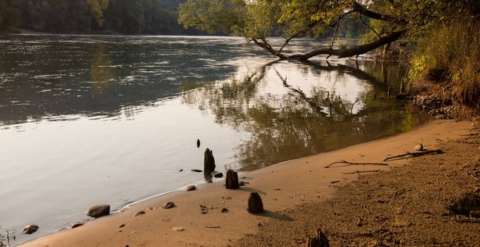 ruhiges Wasser am Limmatspitz