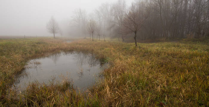 Foort im Nebel