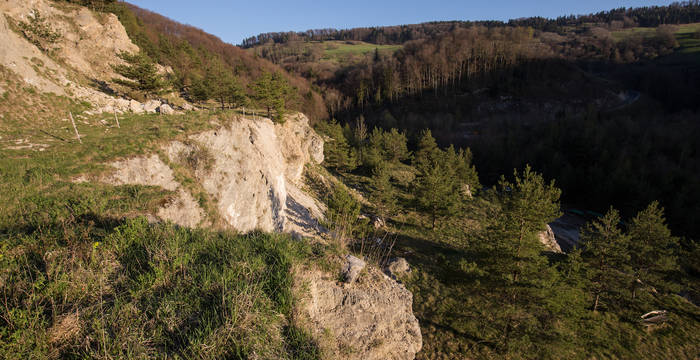 Sonnenexponierte Lage cr Florin Rutschmann