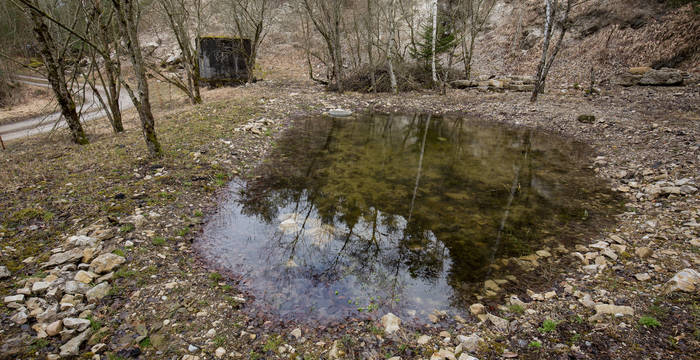 Tümpel für den Glögglifrosch