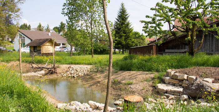 Neu gestaltete Umgebung des Flederhauses