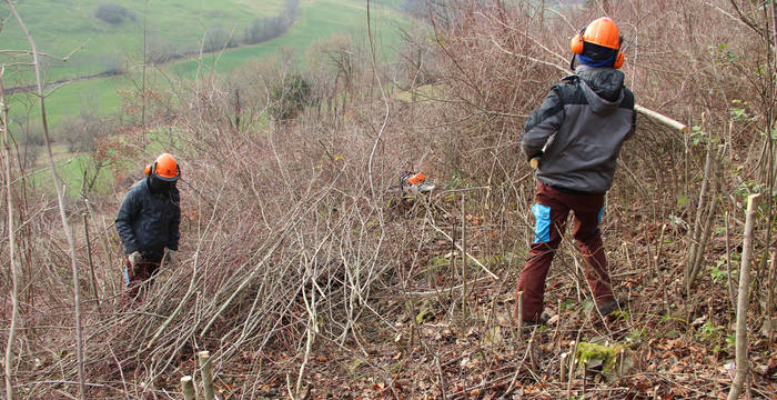 Zivis im Einsatz