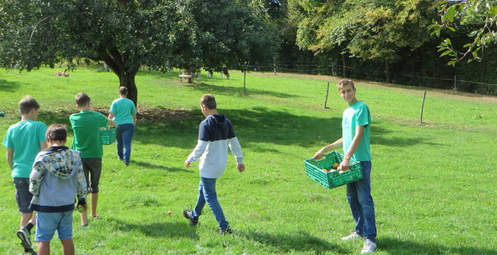 Beim Mosten helfen