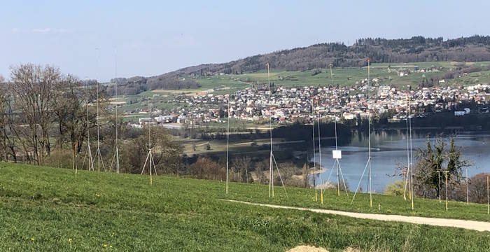 Baugespann auf Wiese cr Johannes Jenny
