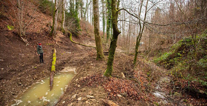 Die Bözenegg am Längibach – neuer Lebensraum für Geburtshelferkröten und Gelbbauchunken cr Philipp Schuppli