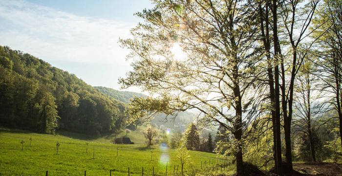 Ein wunderbarer Frühlingstag im neuen Naturschutzgebiet cr Philipp Schuppli