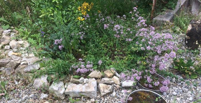 Kleinstrukturen im Garten