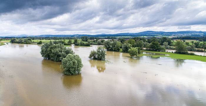 Die Aue Reussegg mit einem 15-jährlichen Hochwasser