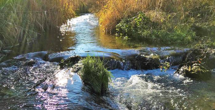 Offenber Bachlauf