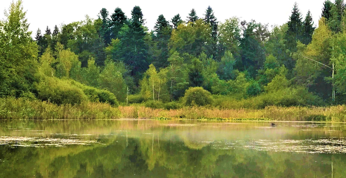 Blick ins Fischbacher Moos