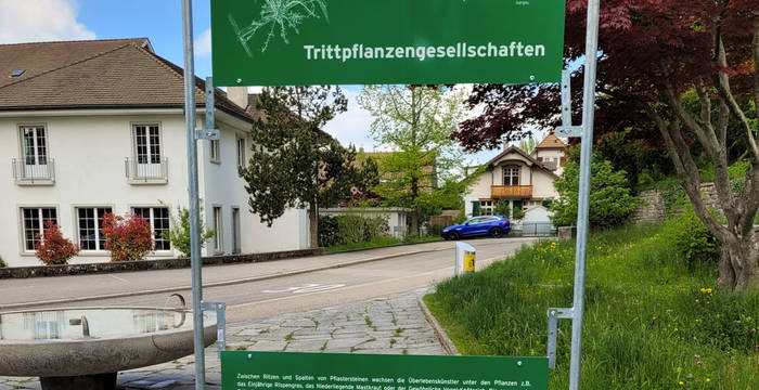 Das Fenster leitet den Blick auf den Lebensraum der Trittpflanzen