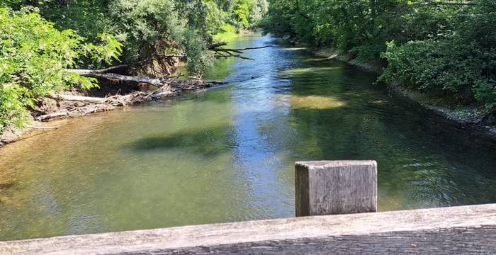 Seitenarm Aare