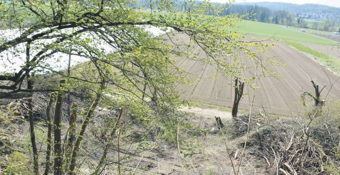 Etwa an diesem Standort werden die Weiher erstellt