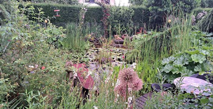 Naturgarten mit Teich