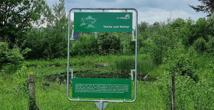 Fenster zu Teiche und Weiher