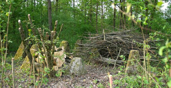 Kleinstrukturen in der Panzersperre