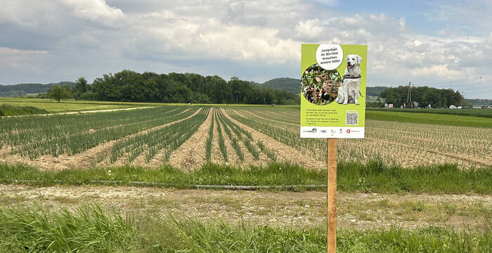Informationstafel Hundeleinenempfehlung Birrfeld