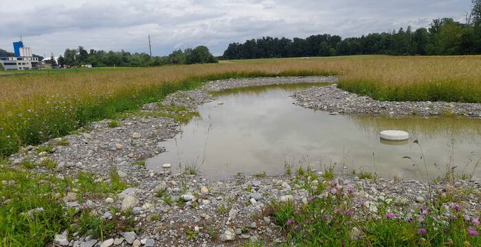 Tümpel Gnadenthal