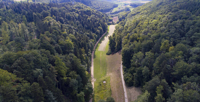 Das Sagemülitäli vor Baustart im Juli 2025: Der hintere Bereich wurde bis anhin intensiv ackerbaulich bewirtschaftet, im vorderen Bereich bestehen noch feuchte Stellen mit verlandeten Tümpeln sowie eine Quellflur. Der Sagemülibach verläuft heute rechts neben dem Feldweg. Foto: © Noah Meier / creaNatira GmbH.