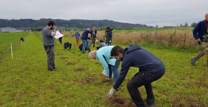 Heckenpflanzung im Gnadental