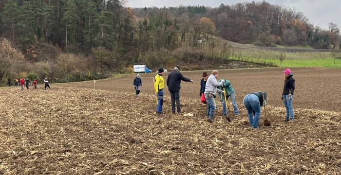 Freiwillige beim Pflanzen der Hecke