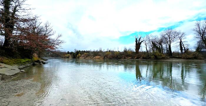 Auenlandschaft an der Reuss