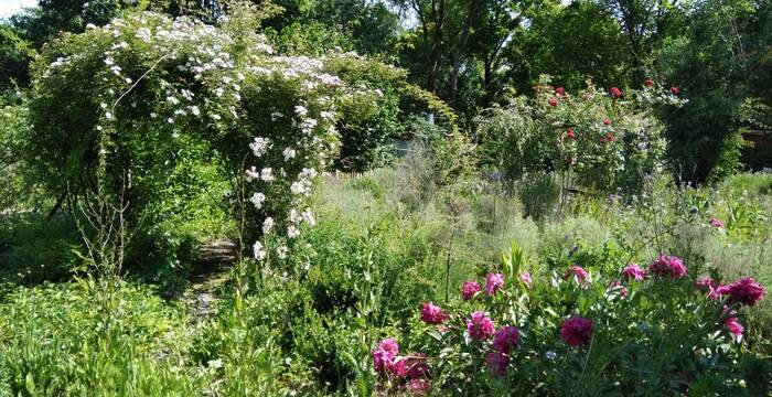 Heilpflanzenspirale im Haselhof