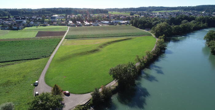 Auenrenaturierung Grien in Fischbach-Göslikon