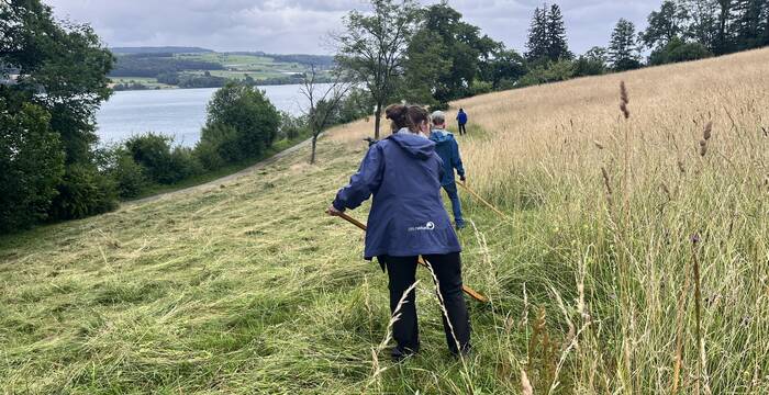 Person mäht eine Wiese am Hallwilersee