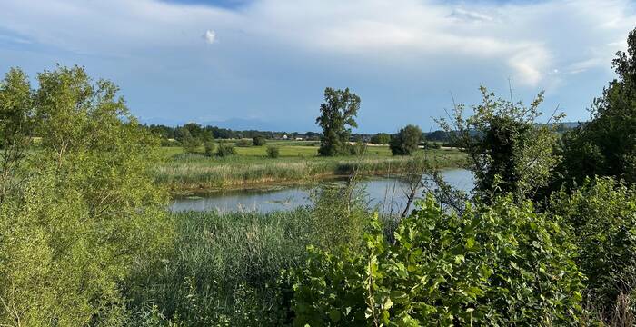 Ein Blick in den Auenschutzpark