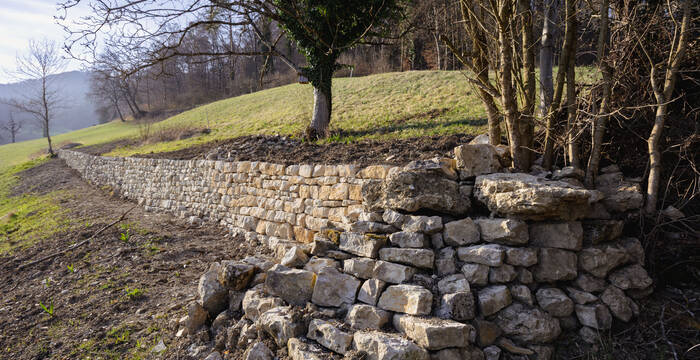 Trockensteinmauer in Bözenegg