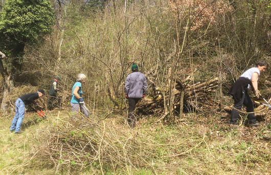 Freiwilligeneinsatz am Waldrand