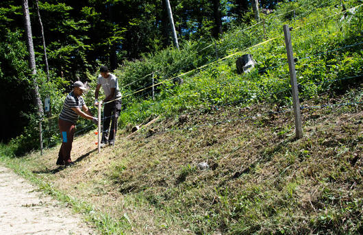 Zivildienstleistende im Einsatz cr Pro Natura Aargau