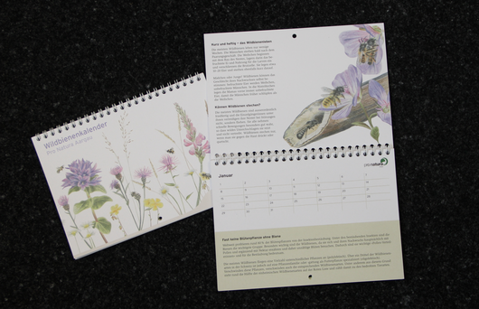 Impression Wildbienenkalender