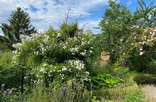 Schaugarten
