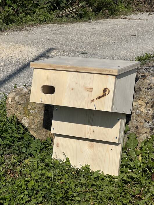 Kombikasten Mauersegler/Fledermaus