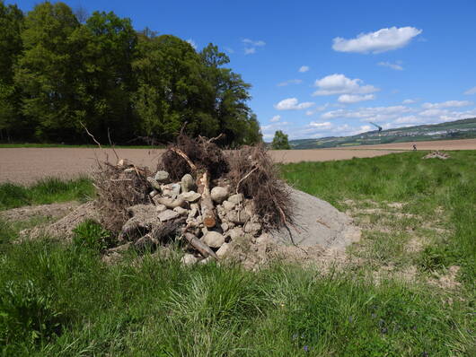 Kleinstrukturen aus einer Kombination von Bollensteinen, Wurzelstöcken und Sand