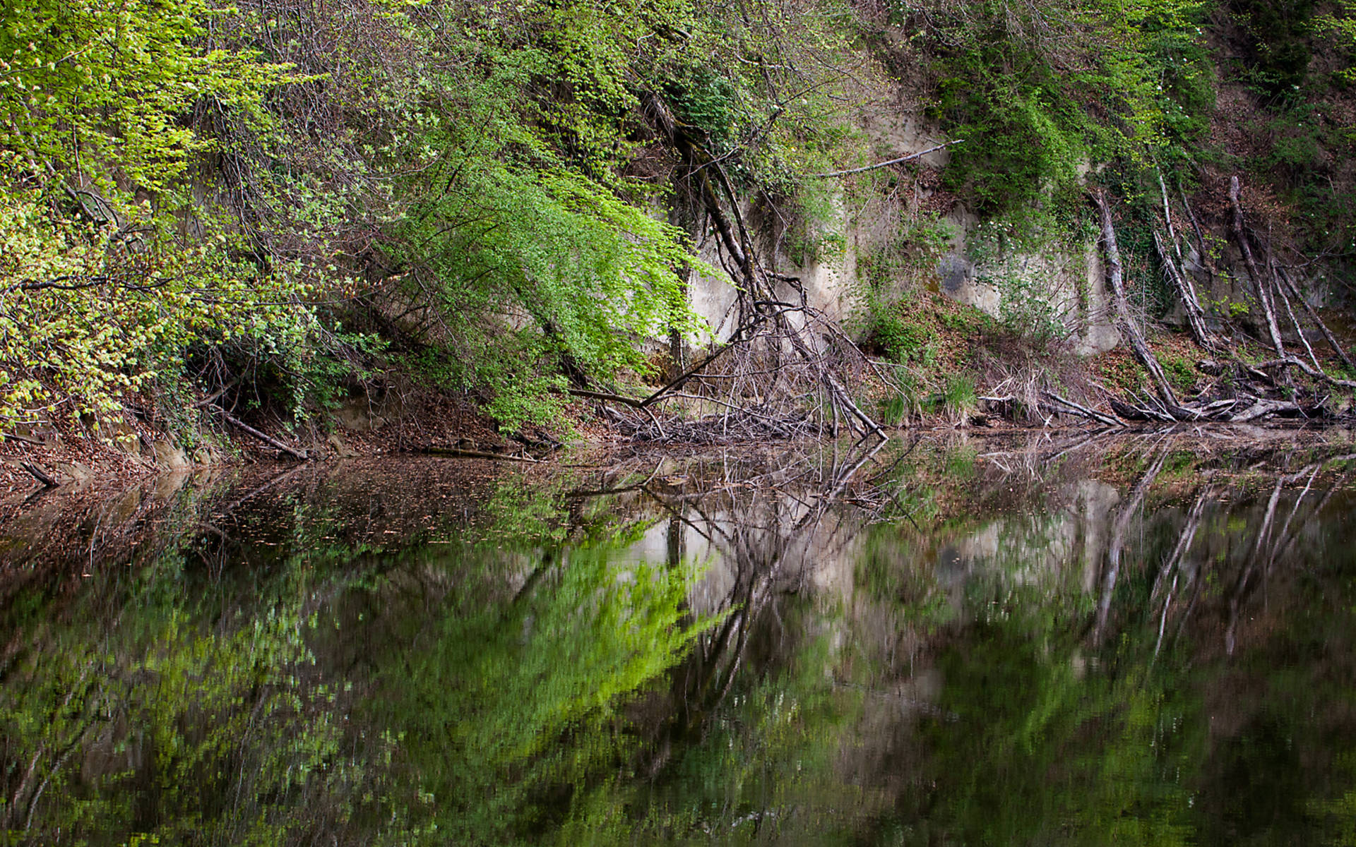 Gewässer © Matthias Sorg