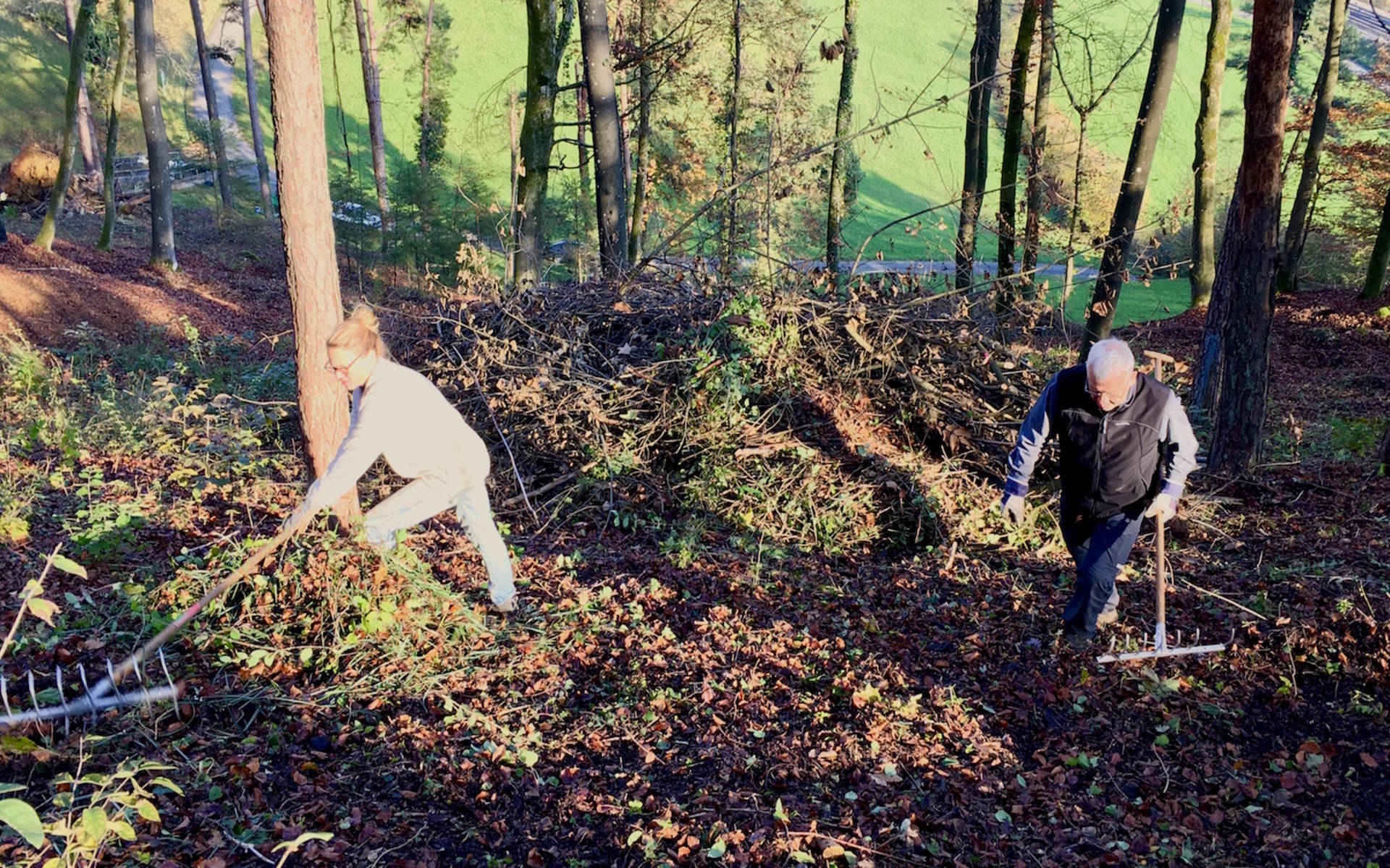 Freiwillige arbeiten im Wald_cr_Melanie Christen