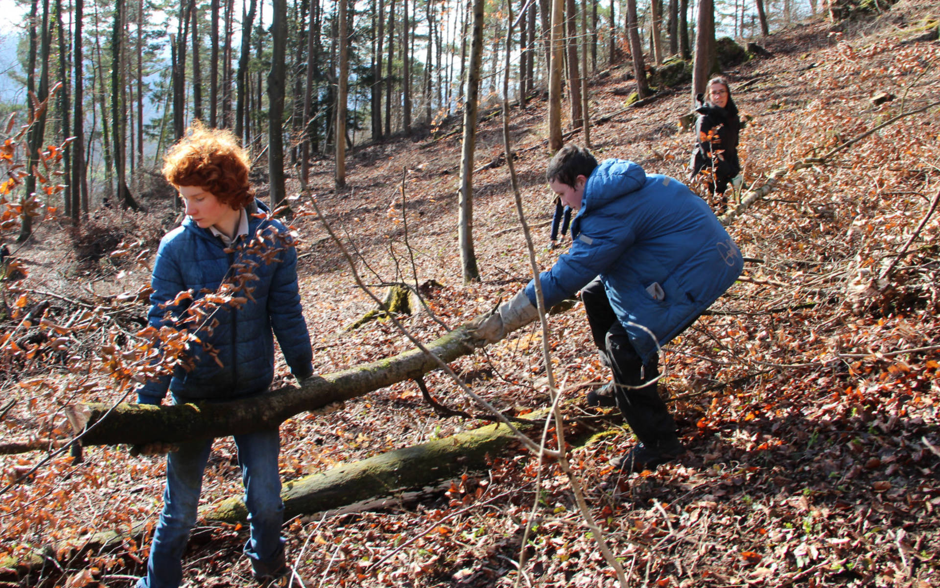 Geimeinsamer Einsatz im Wald cr Pro Natura Aargau