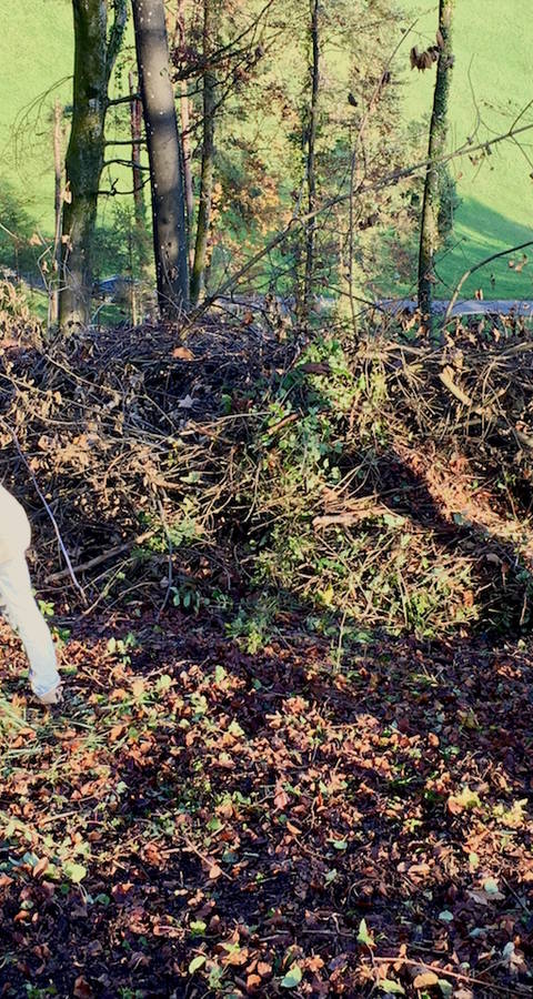 Freiwillige arbeiten im Wald_cr_Melanie Christen