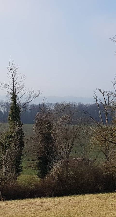 Strukturreiche Landschaft in Berikon