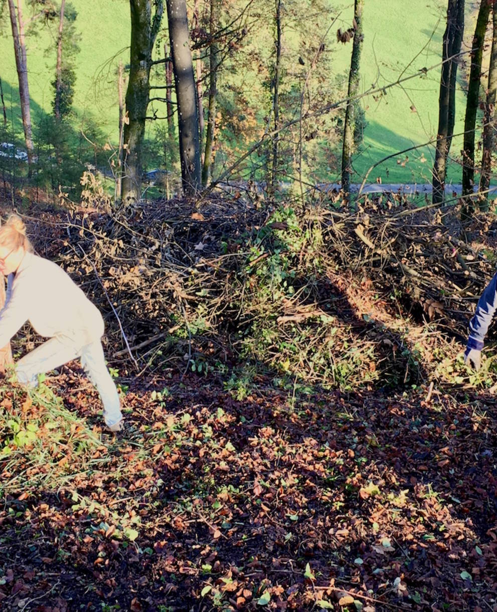 Freiwillige arbeiten im Wald_cr_Melanie Christen