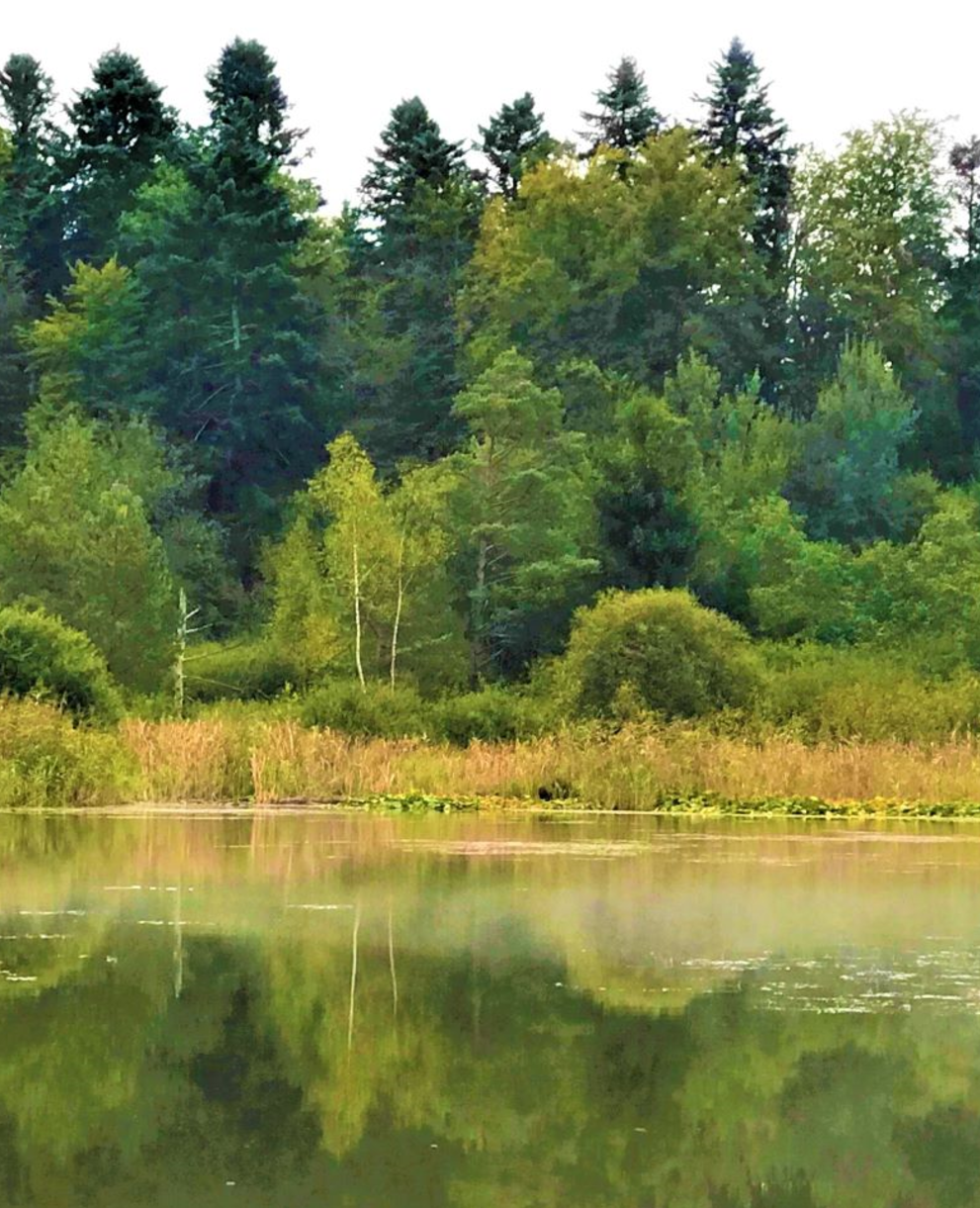 Blick ins Fischbacher Moos