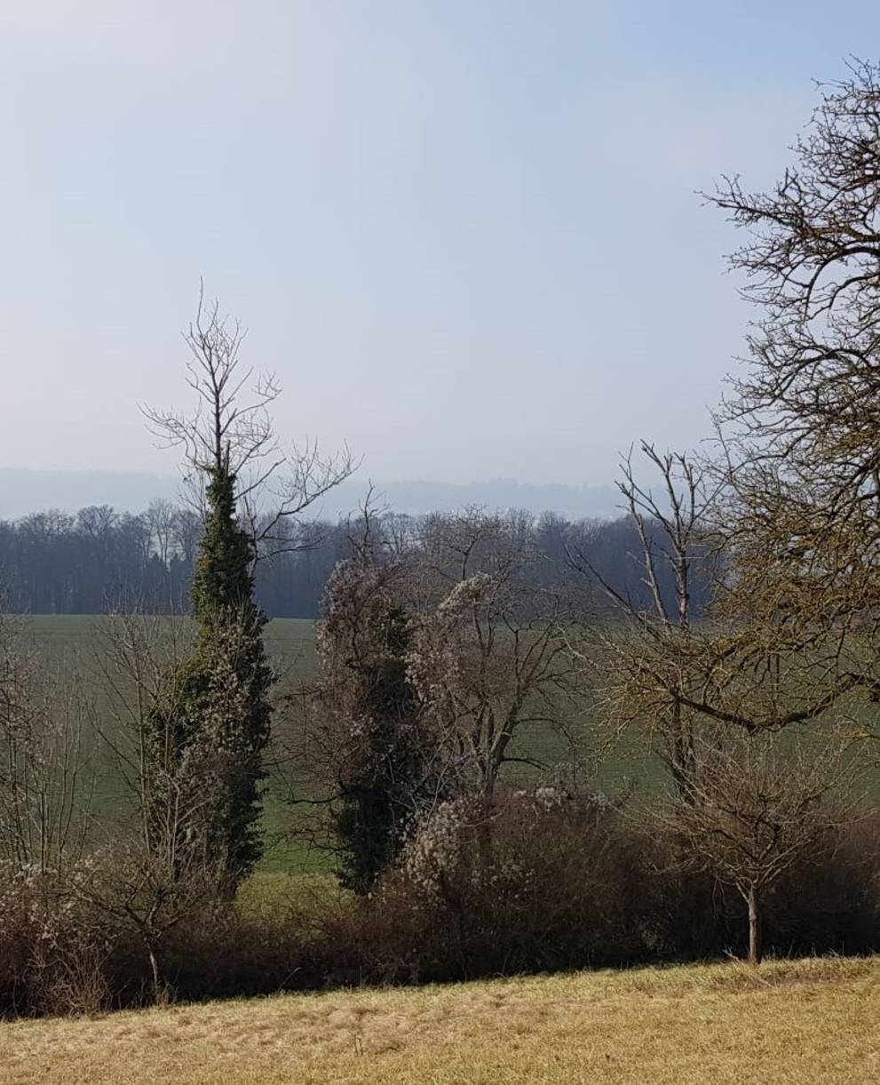 Strukturreiche Landschaft in Berikon