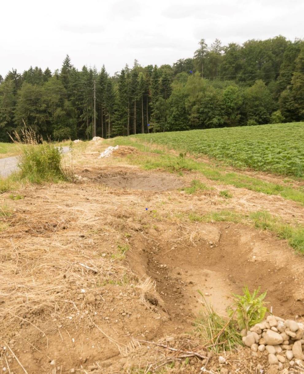 Blick auf Tümpellandschaft