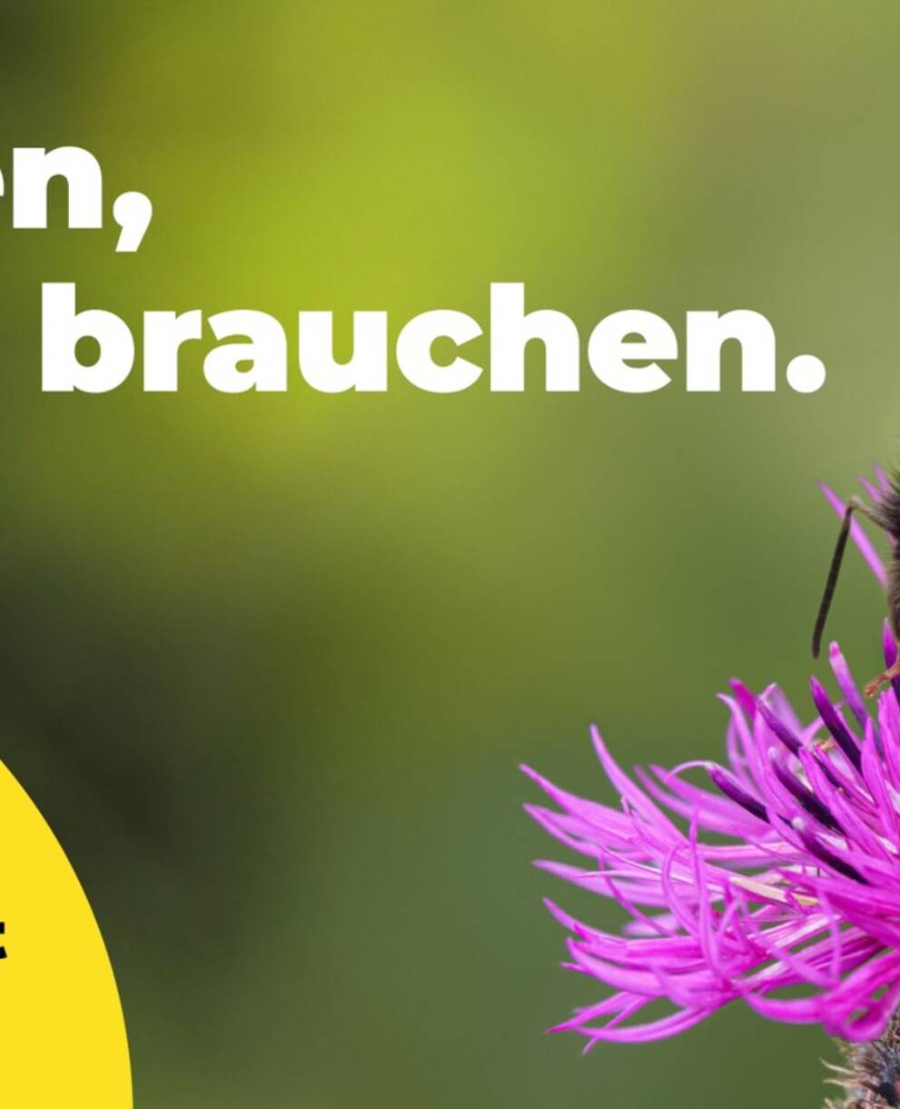 Schützen was wir brauchen